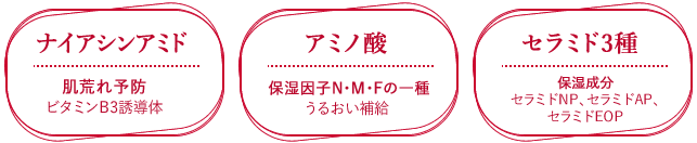 ナイアシンアミド、アミノ酸、セラミド3種